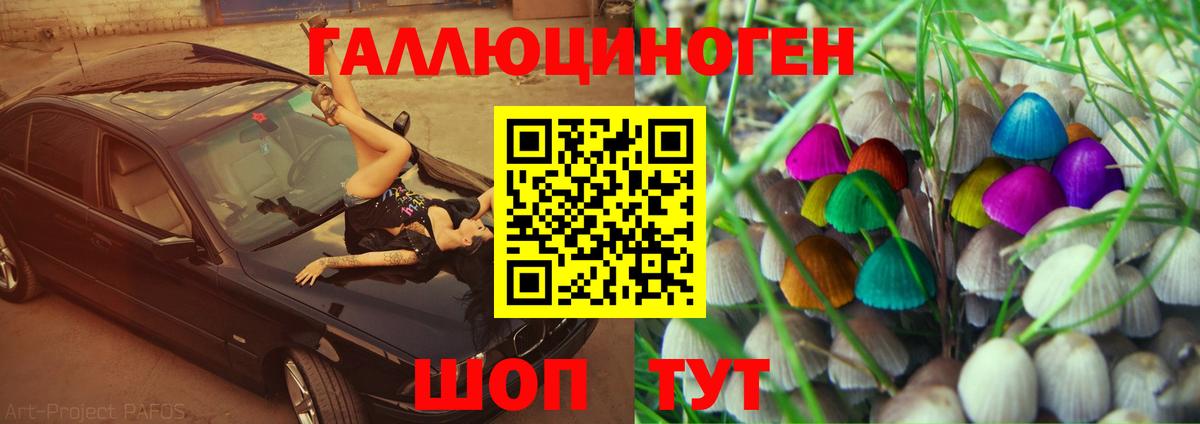 Псилоцибиновые грибы Psilocybe  Вход с VPN  Галлюциногенные грибы Psilocybe  хочу наркоту  Кропоткин 